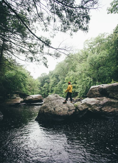 Free A lone man stands on rocks in a serene forest river, evoking adventure and tranquility. Stock Photo