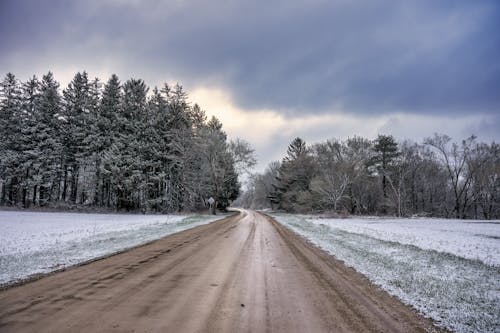 Wet Road Through Winter Landscape