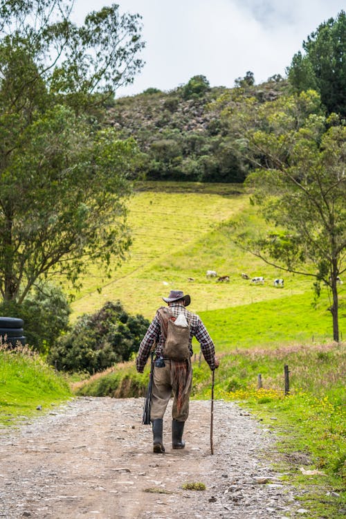 Elderly Man Walking on Dirt Road in Countryside