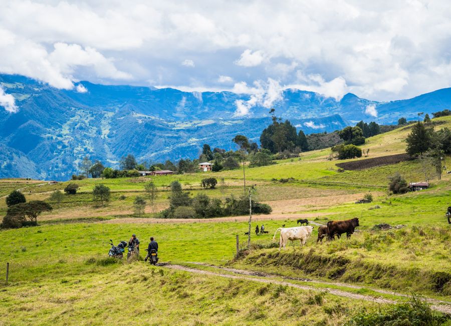 Beautiful landscape in Manta, Colombia with cows grazing against mountain backdrop.