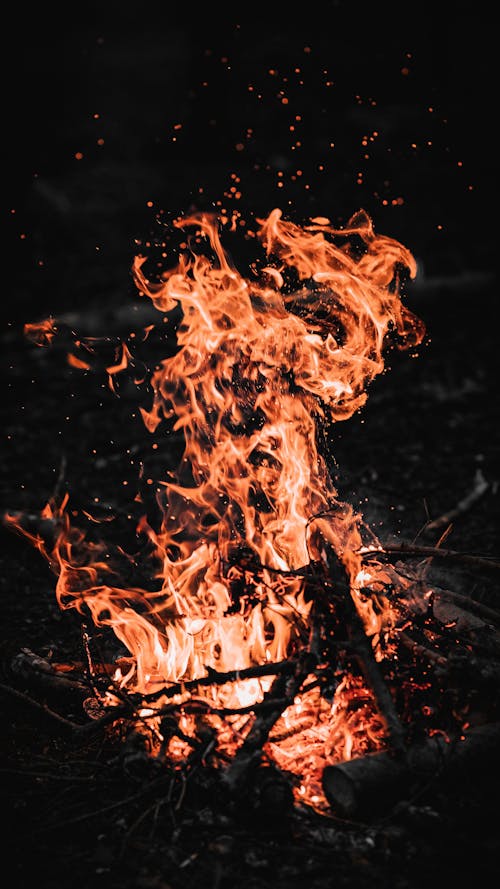Fire in Bonfire in Night Darkness