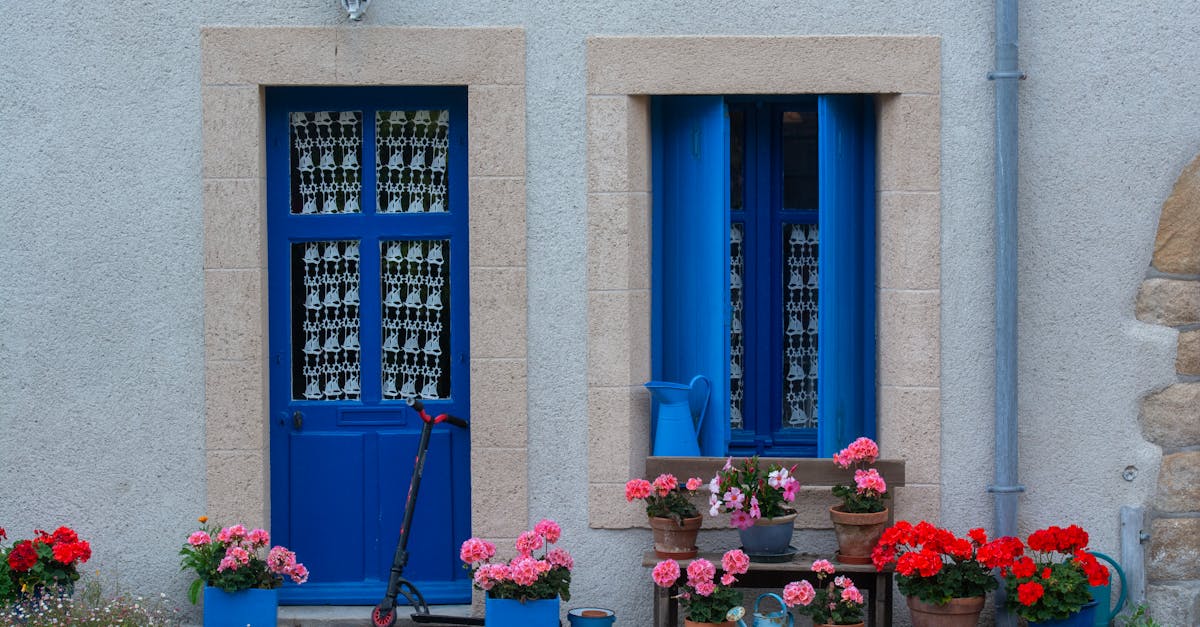 A vibrant urban scene featuring a blue door, window, scooter, and colorful flower pots.