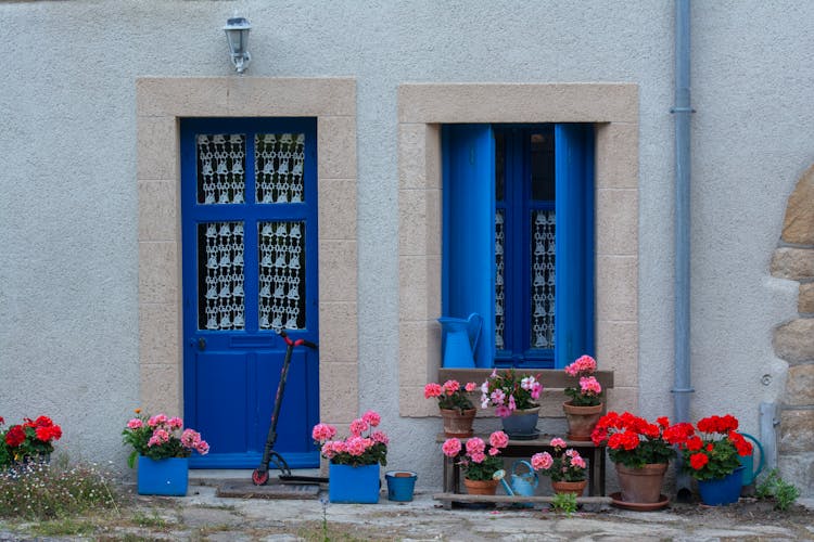 Flowers Near Blue Windows And Door