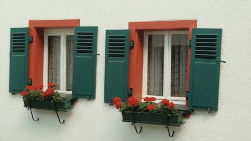 Colorful Shutters on Windows