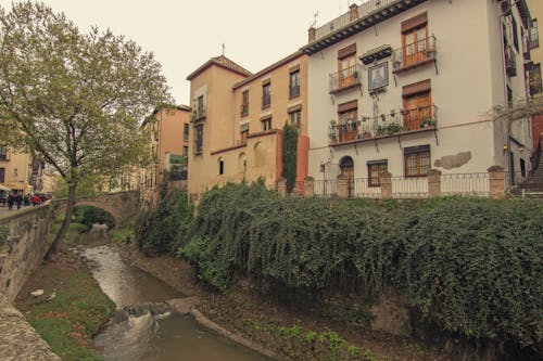 Gratis stockfoto met boom, gebouwen, Spanje
