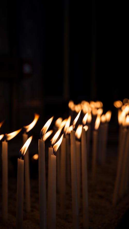 Fotos de stock gratuitas de ardiente, de cerca, fondo negro