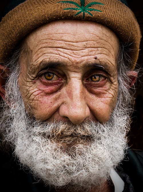 Face of Elderly Man with Wrinkles