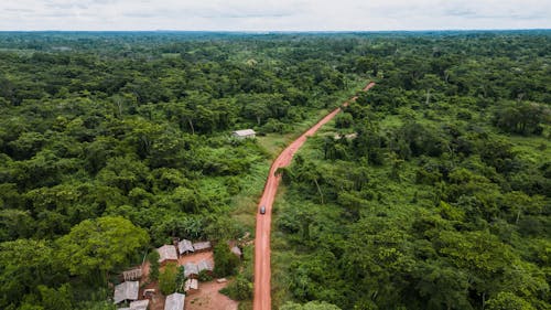 Foto d'estoc gratuïta de bosc, camí de carro, foto des d'un dron