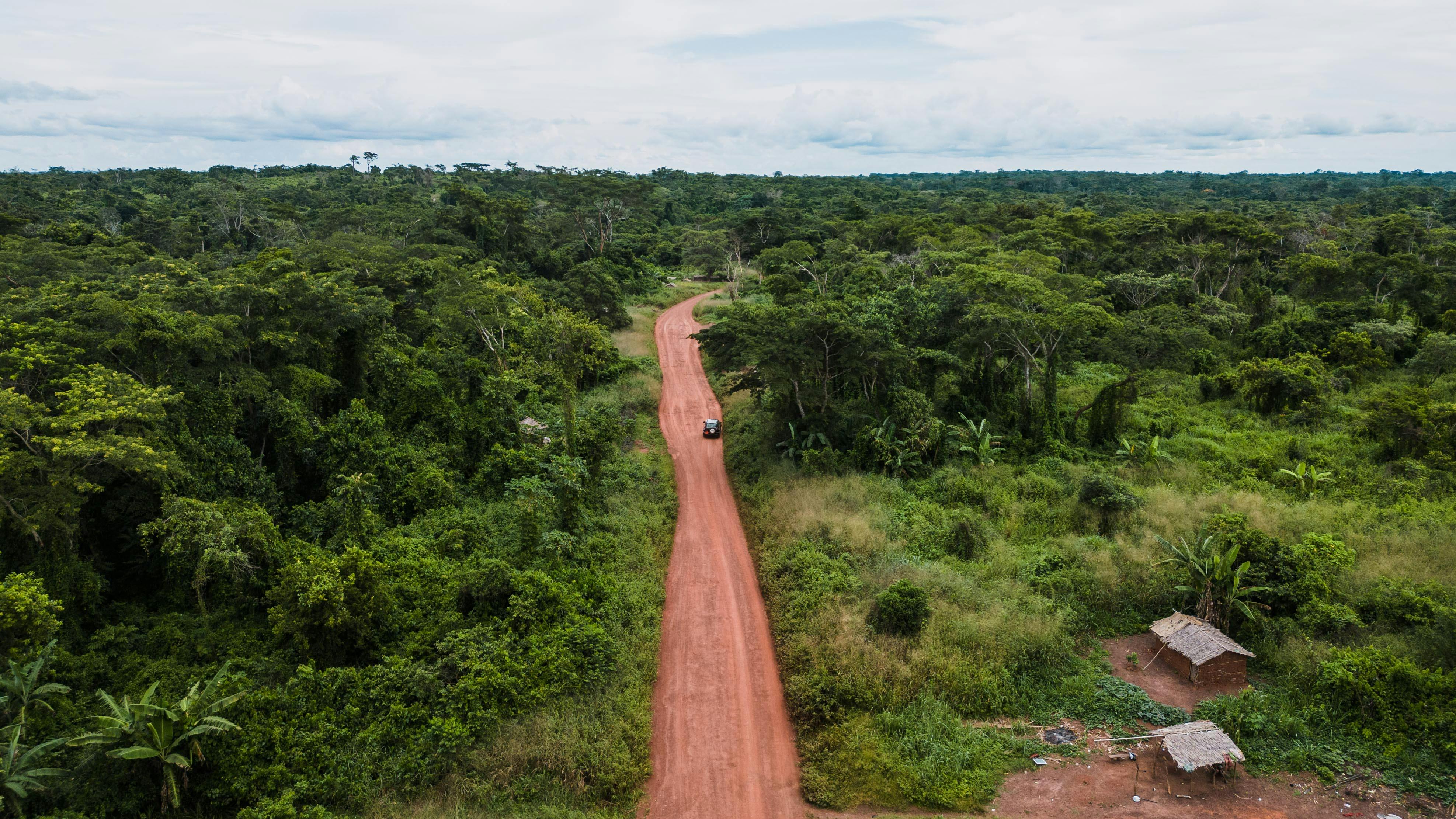 dirty road in tropical forest