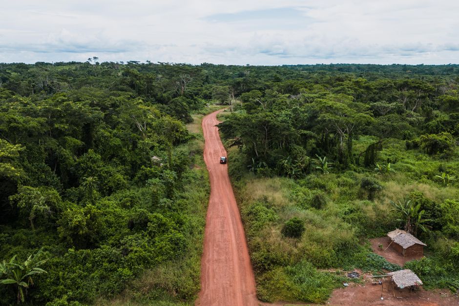Aerial view of Cameroon rainforest — Gabon is iboga's native home and one option for traditional treatment