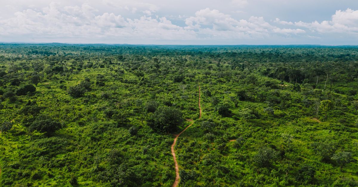 Photo of Cameroon