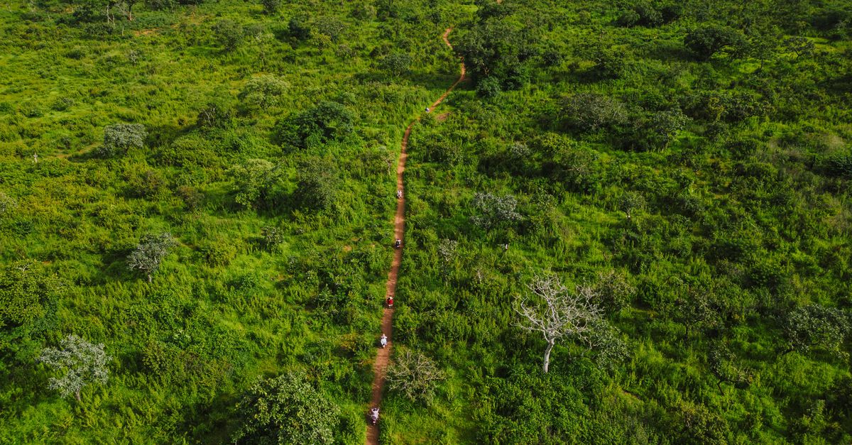 Photo of Cameroon
