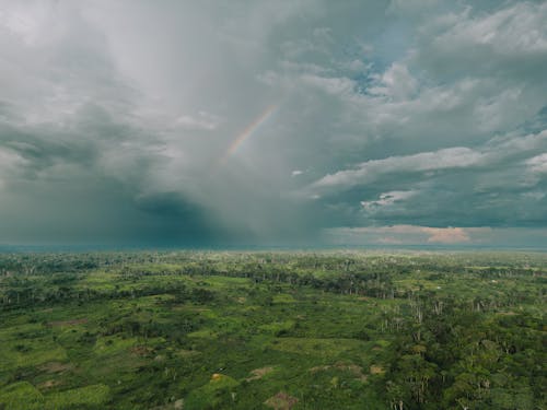 ağaçlar, bulutlar, bulutlu içeren Ücretsiz stok fotoğraf