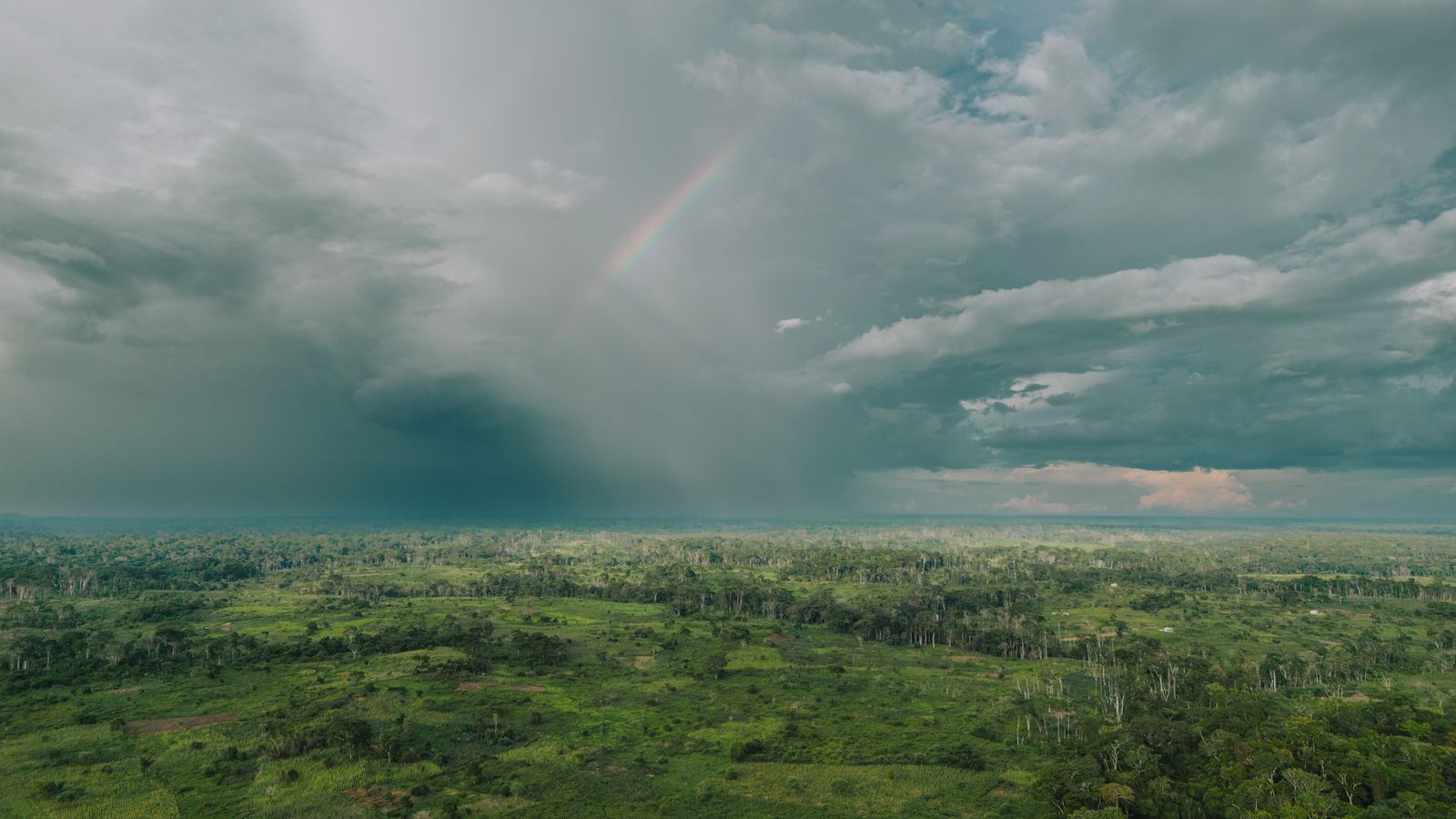 Clouds over forest on plains, Central African Republic