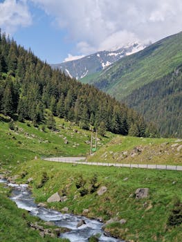 Beautiful view of Fagaras Mountains with lush green landscape and flowing stream in summer.
