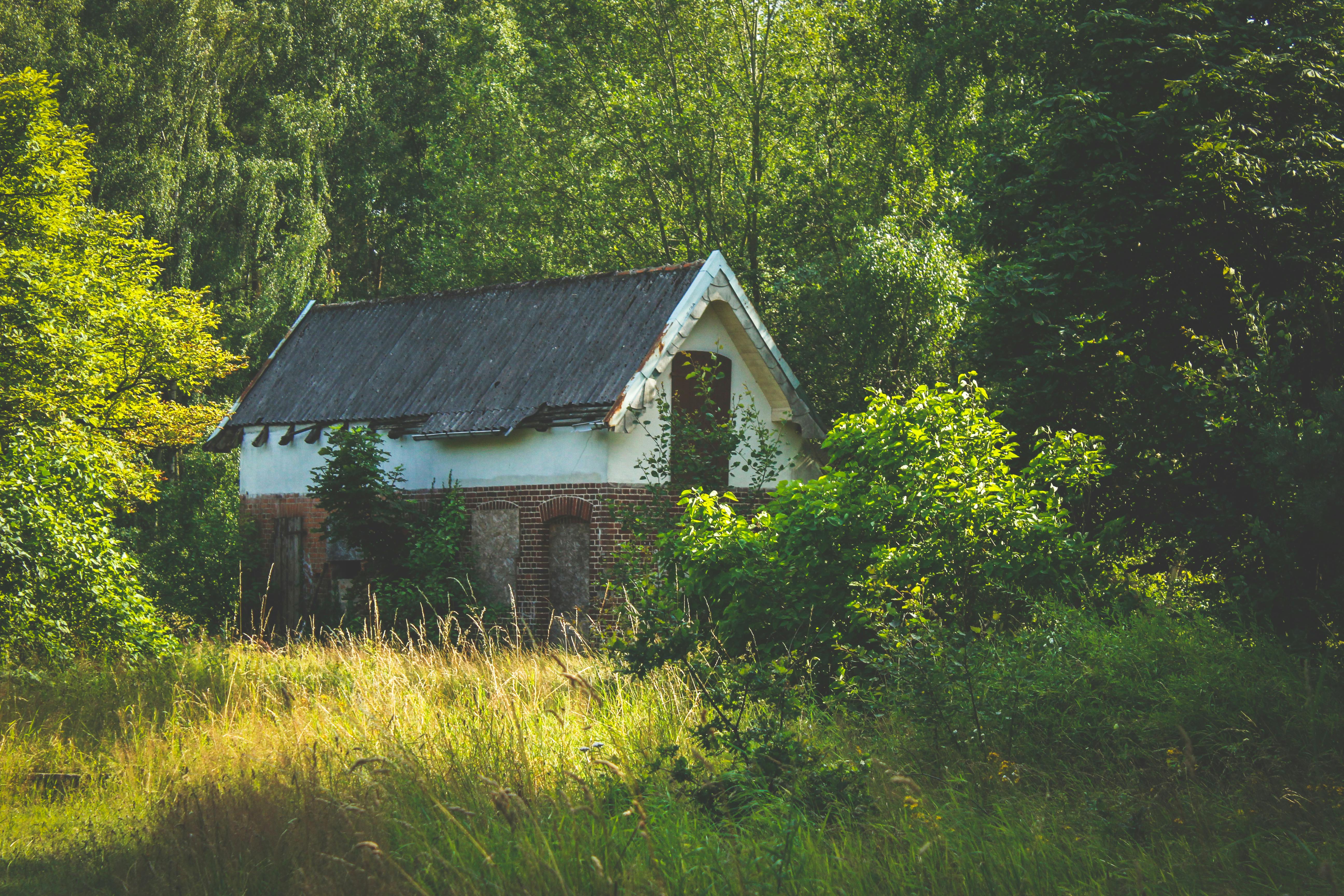 1500 Old House Pictures  Download Free Images on Unsplash