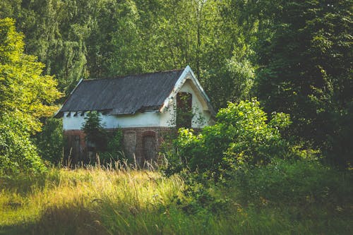 Free Brown and White Concrete House Surrounded With Trees Stock Photo