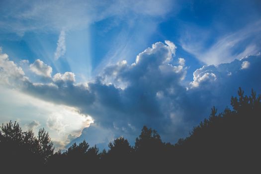Beautiful cumulus clouds and blue sky above silhouetted forest trees