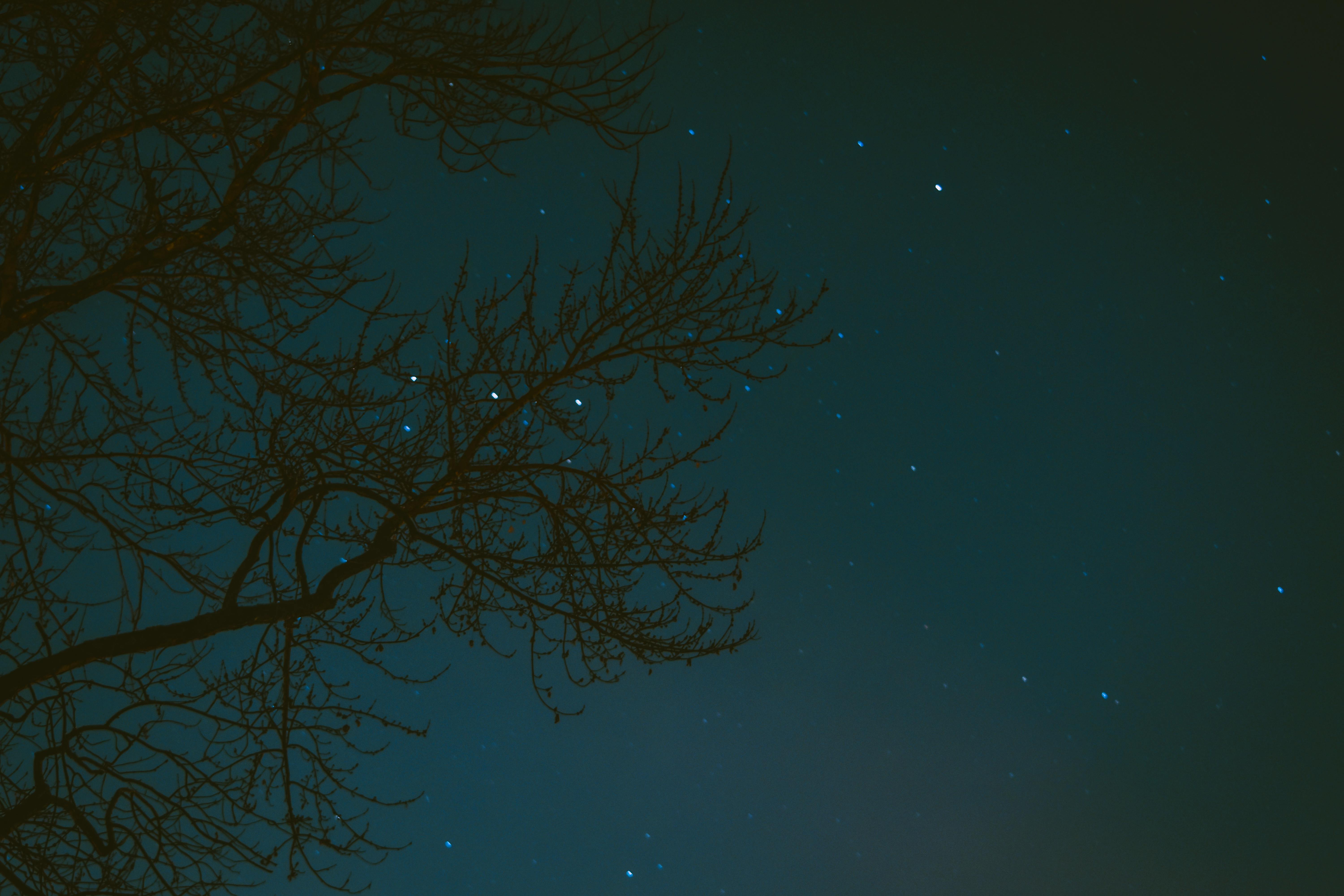 Free stock photo of night, night sky, stars
