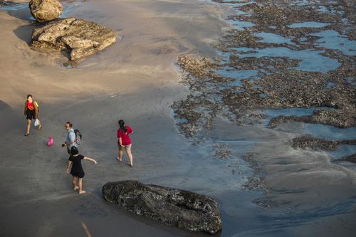 Free Aerial view of people walking on a rocky beach with sandy shore and tidal pools. Stock Photo