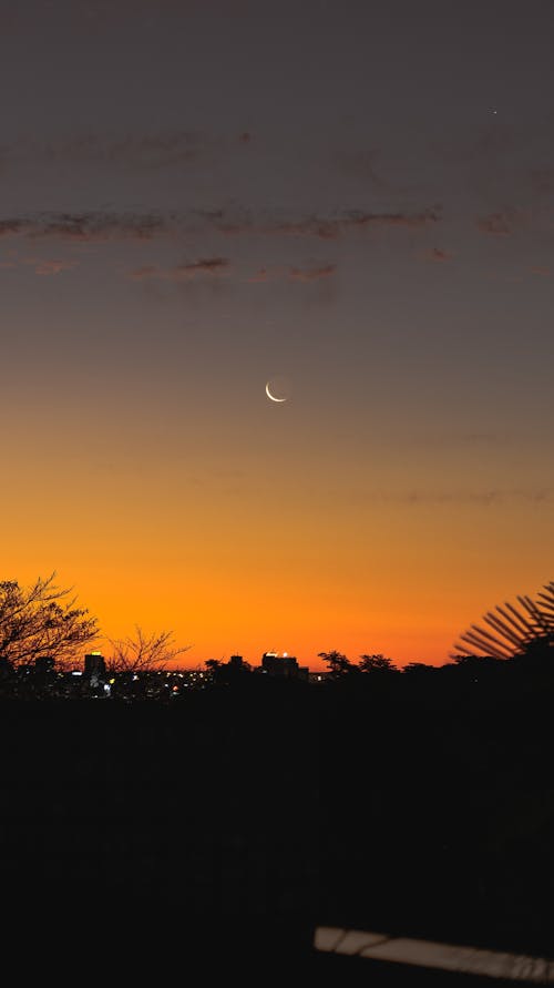 Foto d'estoc gratuïta de capvespre, mitja lluna, posta de sol daurada