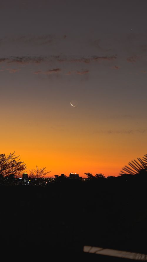 Free stock photo of golden sunset, half moon, sunset Stock Photo
