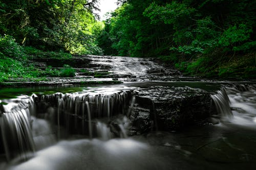 Imagine de stoc gratuită din apă curgătoare, cascadelor, codru