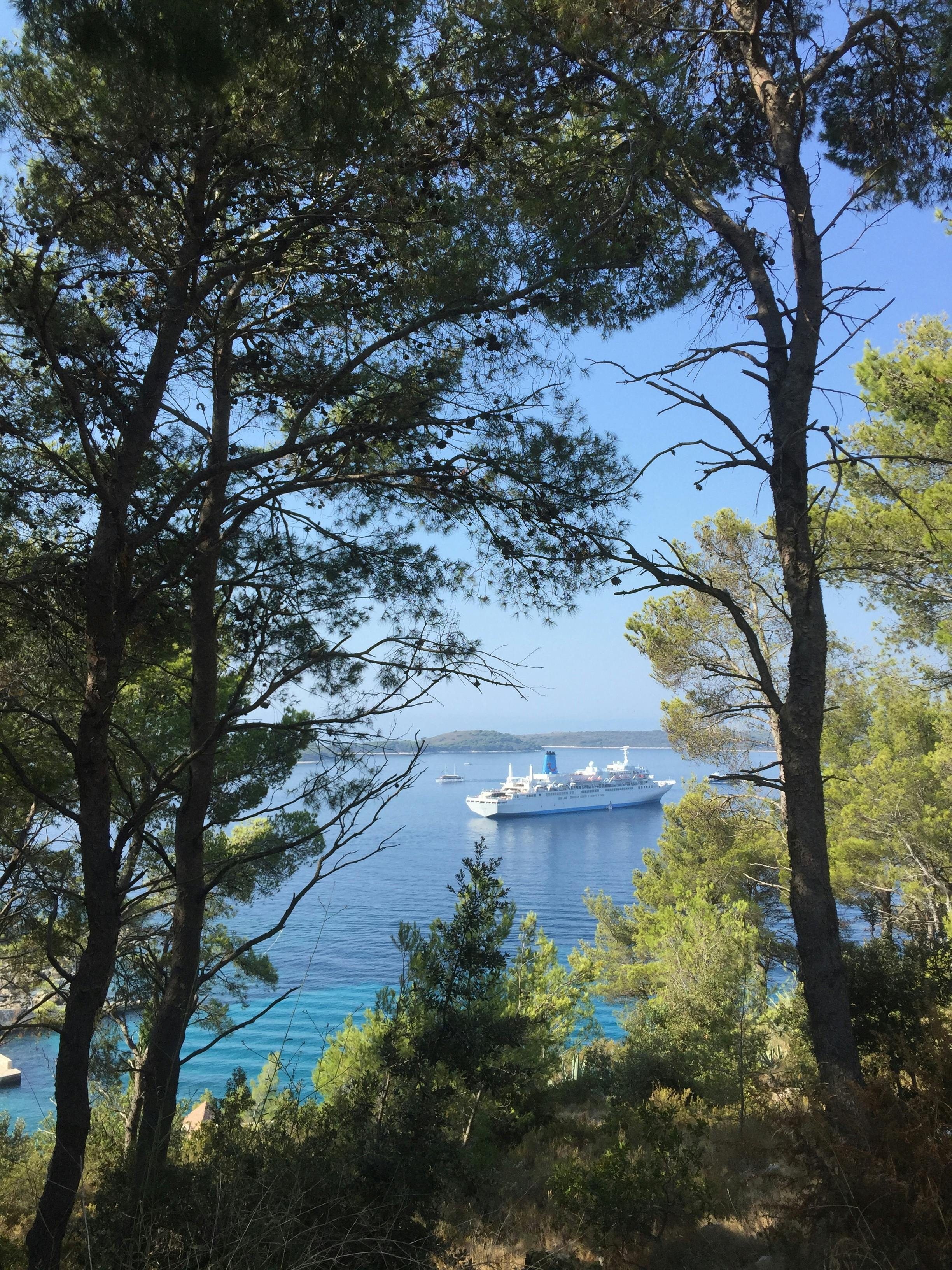 Free stock photo of odds and ends, rummage