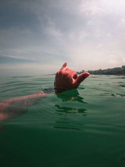 Základová fotografie zdarma na téma pláž