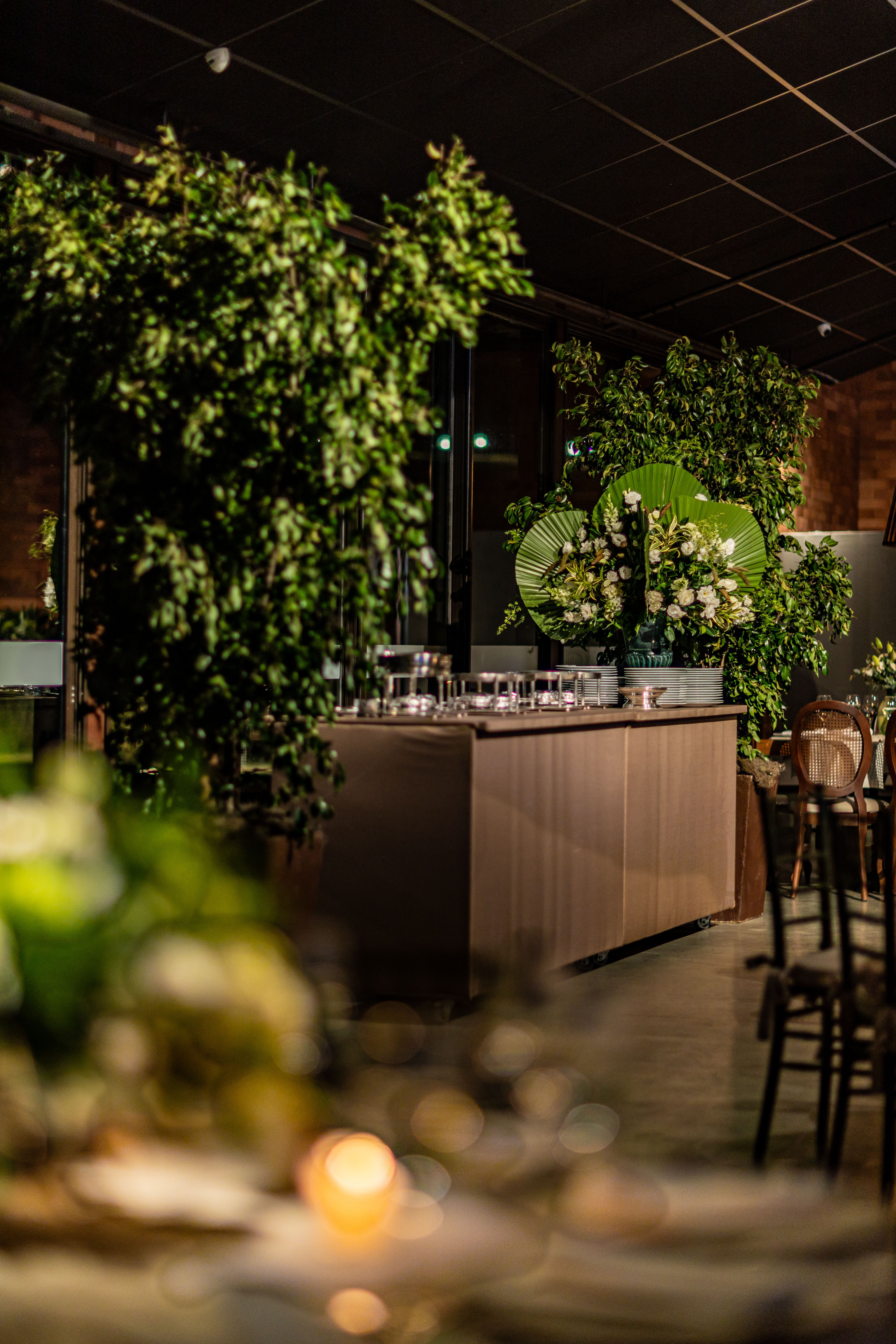Fotografía referencial de un bar con vegetación e iluminación ambiental