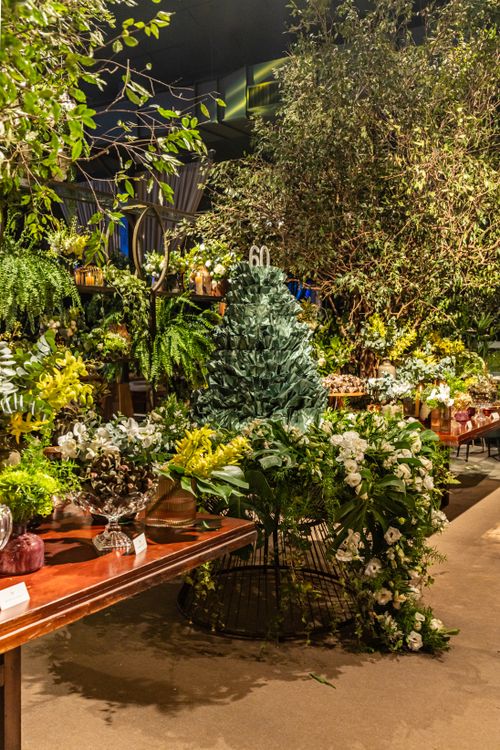 Free A vibrant indoor garden featuring an array of lush green plants and flowers on display. Stock Photo