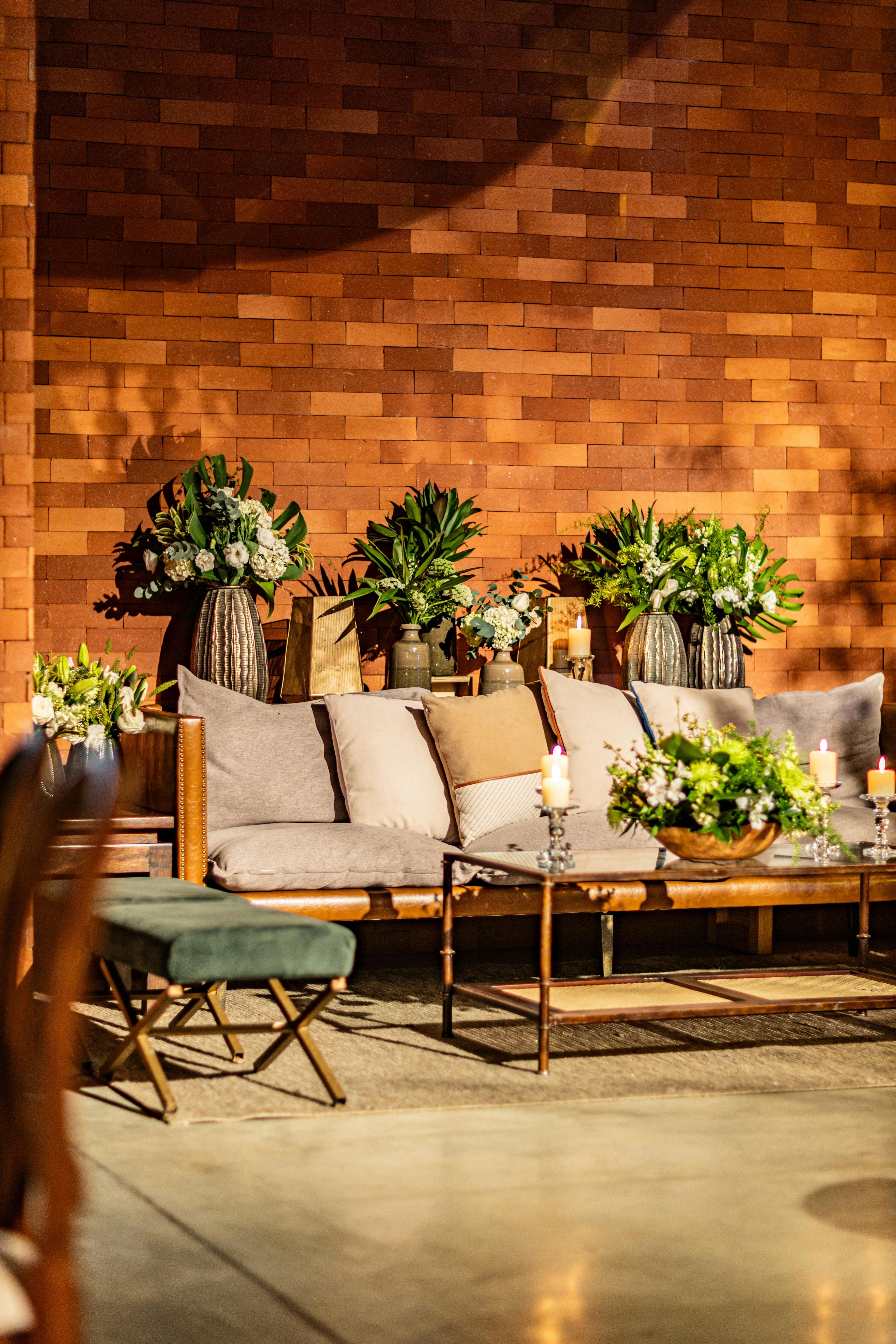 plants over couch in room