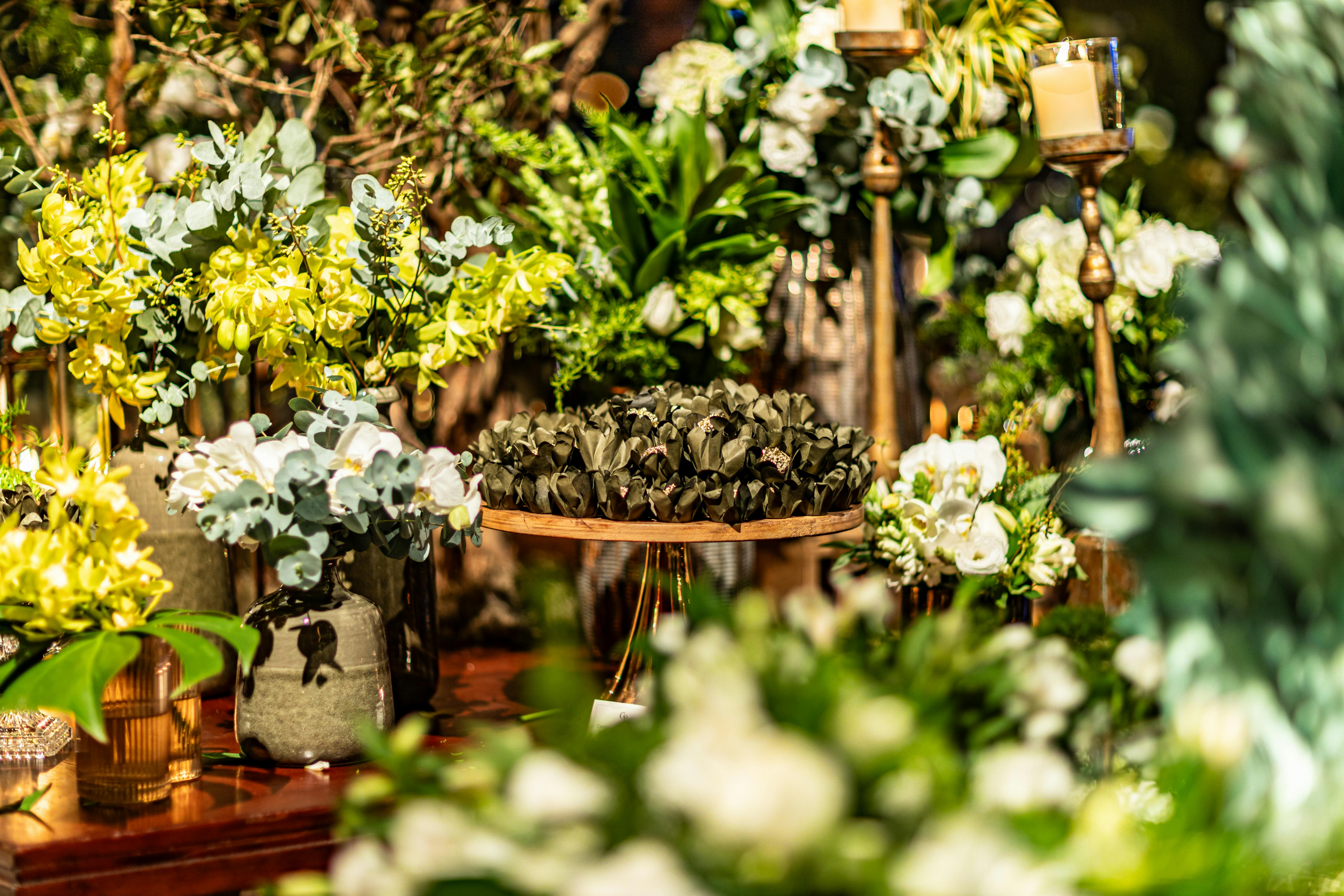 adubo foliar para orquideas