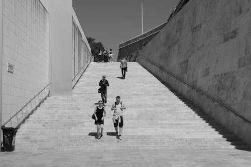 걷고 있는, 계단, 그레이스케일의 무료 스톡 사진