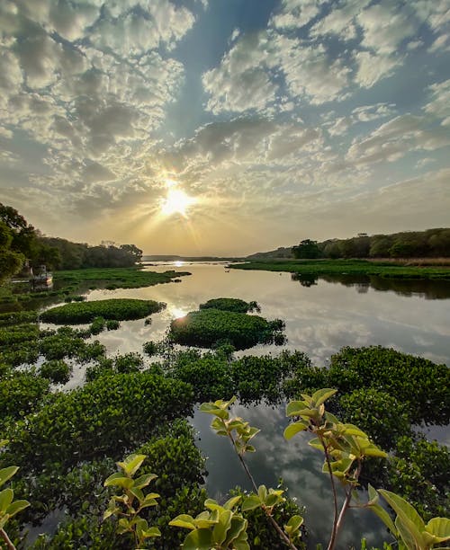 Photos gratuites de beau coucher de soleil, beau fond, beau paysage