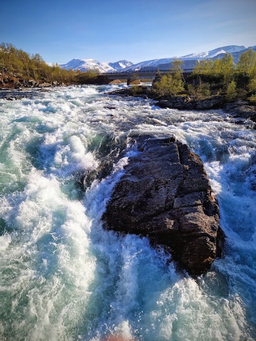 Immagine gratuita di acqua corrente, alberi, cascata