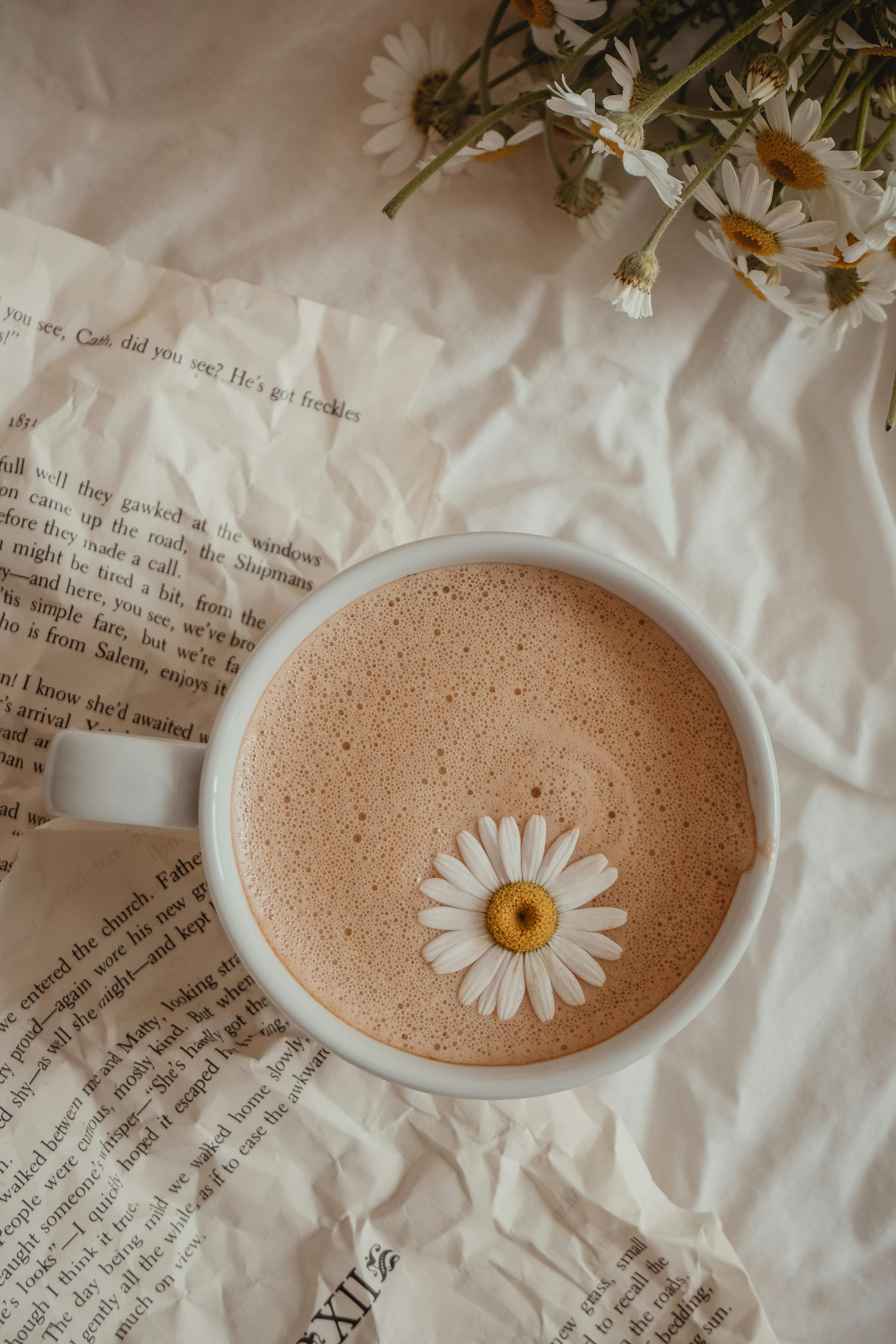 daisy in coffee