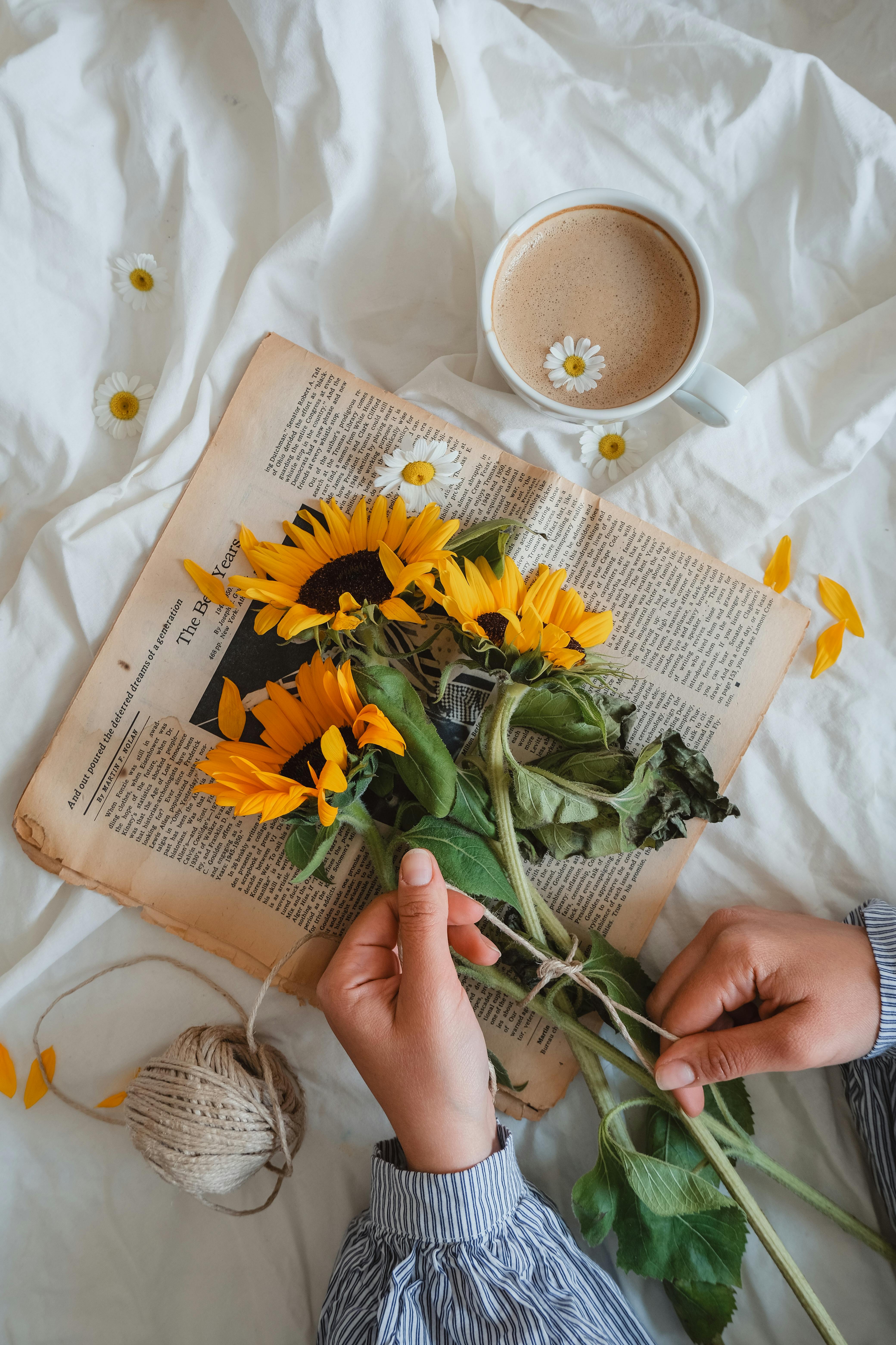 Hands arranging sunflowers on newspaper with coffee and daisies on a cozy morning setup.