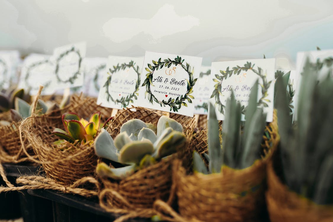 Succulent plants in burlap pots with personalized cards for a wedding.