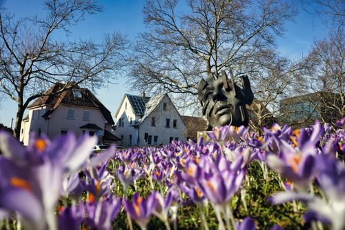 Free Captivating sculpture surrounded by vibrant purple crocuses under a clear blue sky. Stock Photo