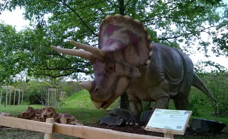 为什么你买了这么多时间管理书，还是加班到深夜？