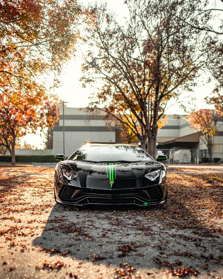 Black Sports Car 