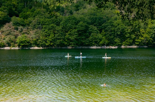 View of People Paddleboarding on a Body of Water 