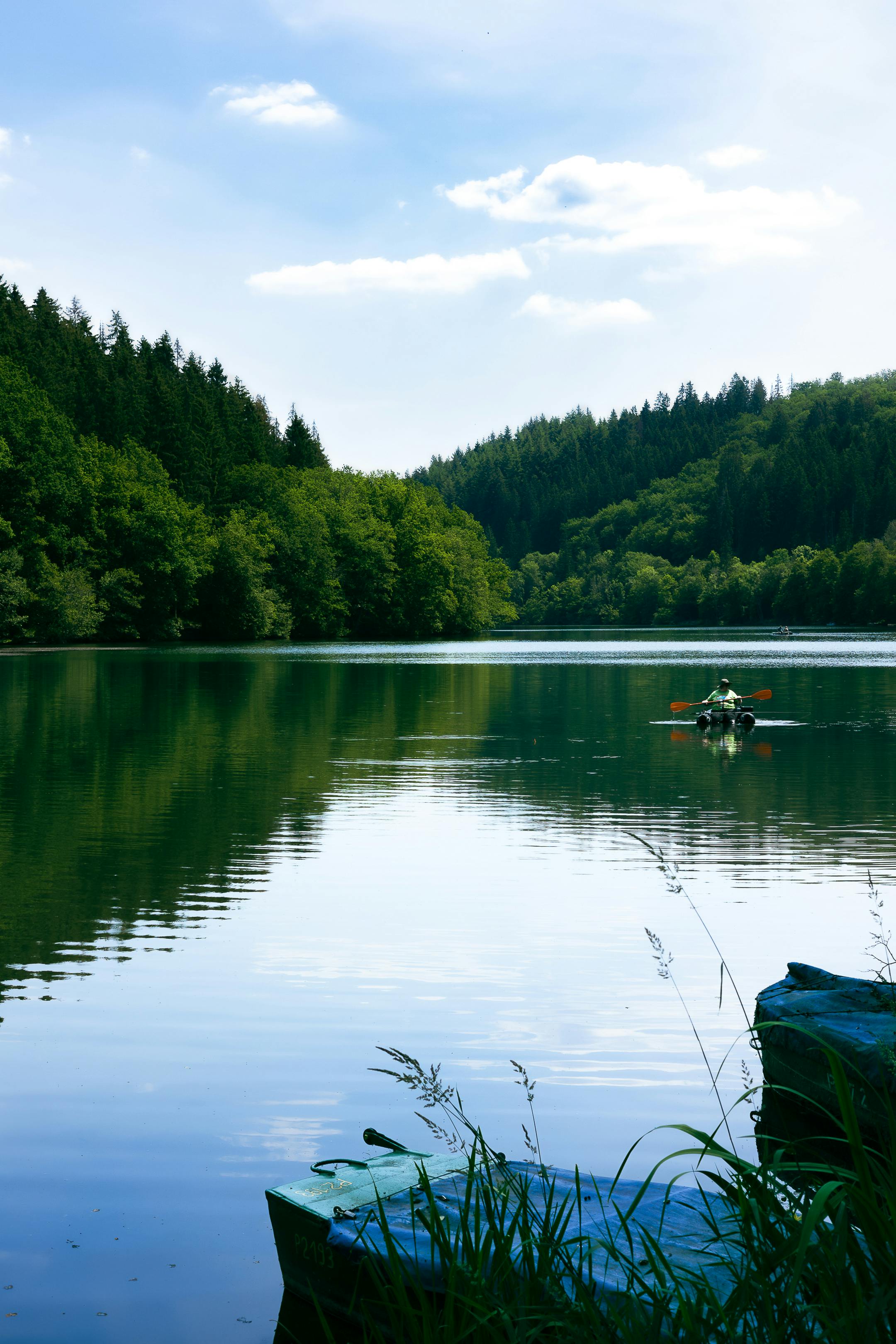 Solo kayaker paddling on calm water at MacRitchie Reservoir surrounded by lush rainforest canopy in Singapore