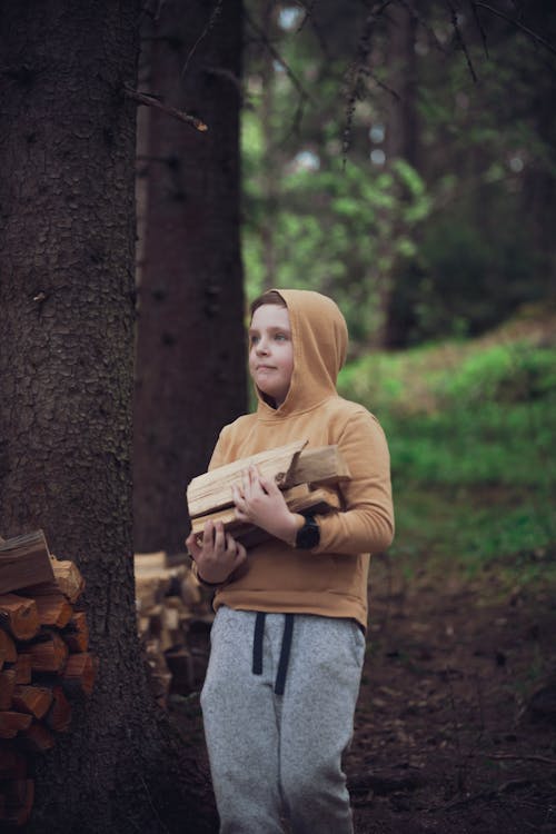 Darmowe zdjęcie z galerii z chłopak, drewno, drzewa