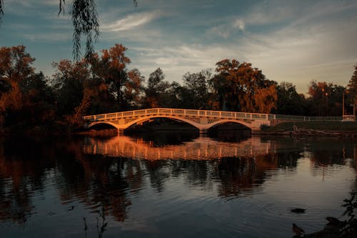 Foto stok gratis air, danau, jembatan