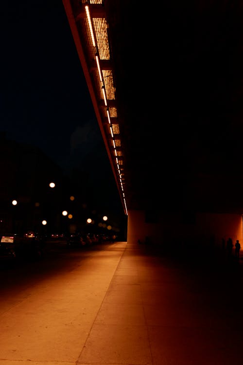 Below the Bridge in City at Night