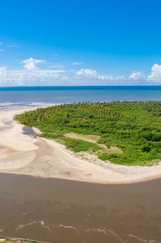 Scenic aerial view of a tropical beach with lush greenery and vibrant ocean in Recife, Brazil.
