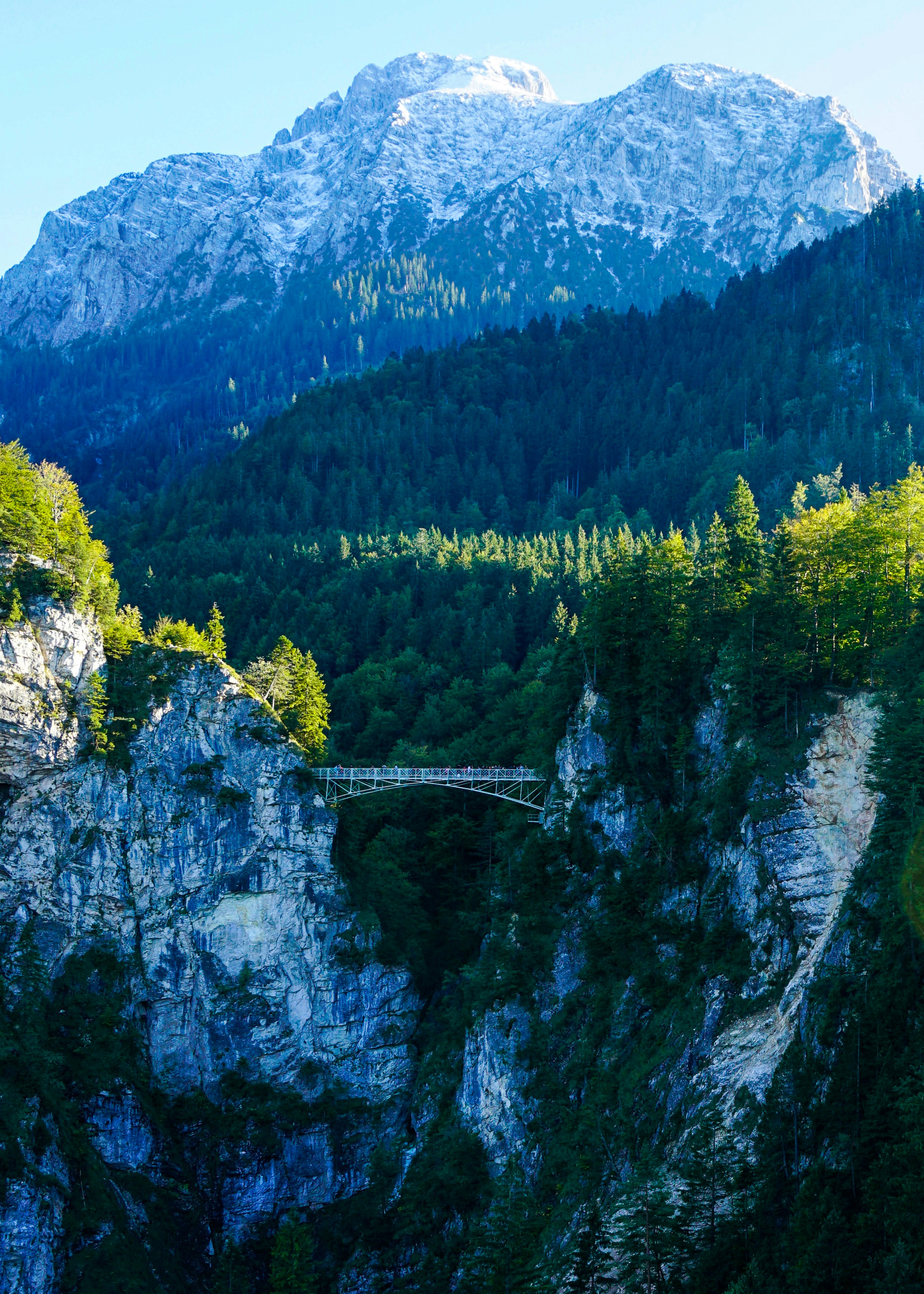 Does morning wood mean high testosterone?