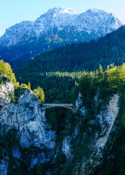 夏季，桥梁横跨山地森林，构成一道景观